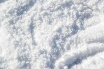 Obraz premium ふわふわの雪