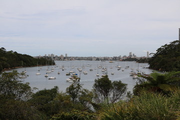 Landscape of Cremorne Point Sydney in Australia