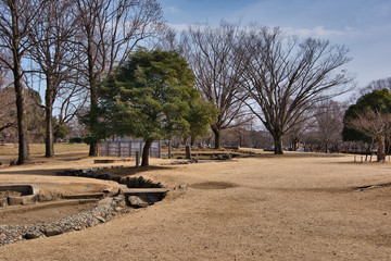 waterway and trees in the park