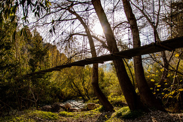 Old bridge in the countryside with green areas and trees