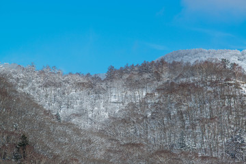 Fototapeta na wymiar 美しい冬の赤城山