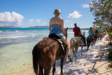 A Charity Ranch on St. Thomas, Virgin Islands lets guests ride retired racehorses on Lindquist Beach