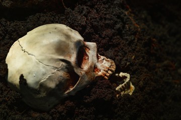 Skull of a dead man in on the ground