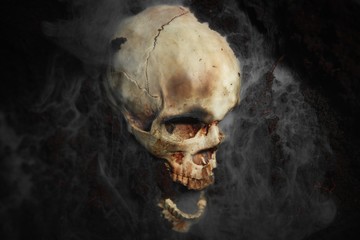 Skull of a dead man in on the ground