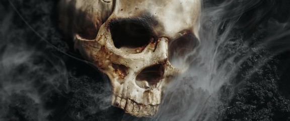 Skull of a dead man in on the ground