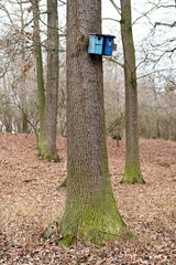 Abandoned birdhouse in the forest.