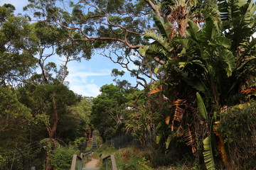 Middle Head hiking trail in Sydney, Australia