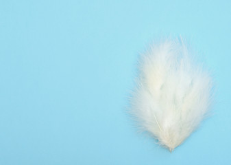 Happy Easter blue background with white feathers in egg shape. Easter holiday concept. Flat lay style with copy space.