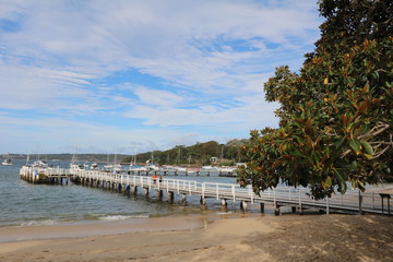 Fototapeta na wymiar Balmoral Beach in Sydney, Australia