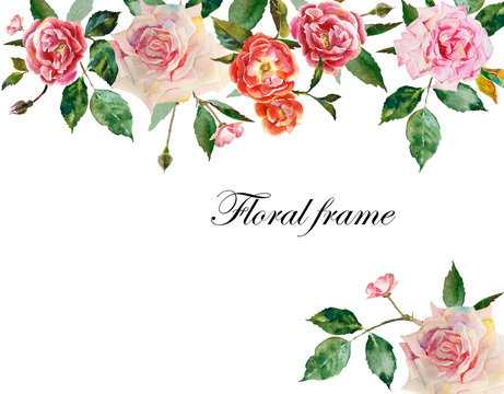 Watercolor roses header and corner element for text from pink, white flowers with leaves and buds original illustration