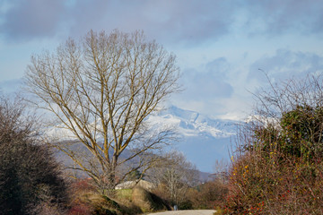Views of the curavacas peak with snow, Palencia mountain. Spain