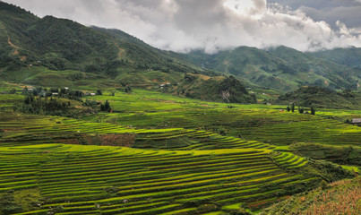 Vietnamese mountain landscape with rice fields and small villages in the mountains of Sapa area in Vietnam Asia.