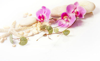 Spa background with stones and purple orchid isolated on white