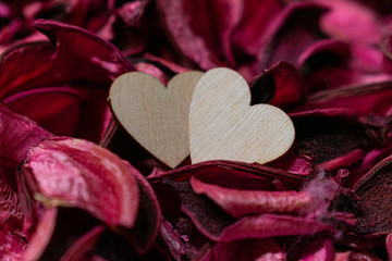 Two wooden hearts on rose petals for Valentines Day post card