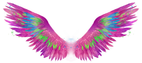 Beautiful magic watercolor pink magenta wings with turqoise and green feathers