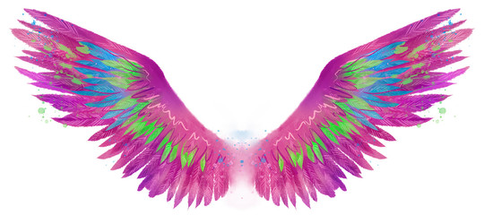 Beautiful magic watercolor pink magenta wings with turqoise and green feathers