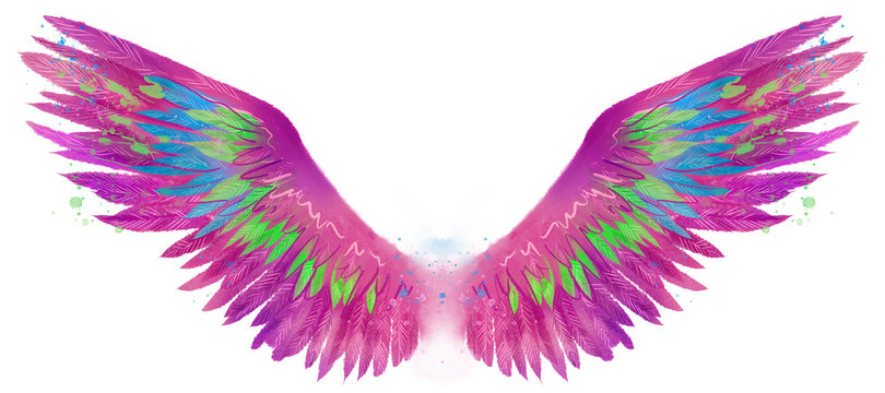Beautiful magic watercolor pink magenta wings with turqoise and green feathers