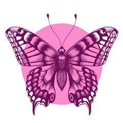 Beautiful butterfly T-shirt design. Beauty symbol