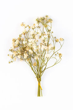 Flowers composition. Floral pattern. Postcard of dried flowers. White flowers on white background. Valentine's Day. International Women's Day, March 8. Flat lay, top view, copy space