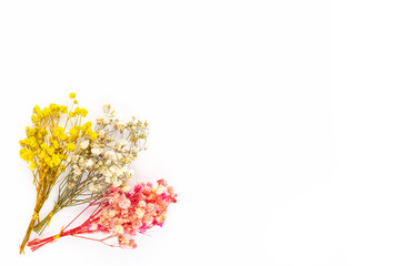 Flowers composition. Floral pattern. Postcard of dried flowers. Multicolored flowers on white background. Valentine's Day. International Women's Day, March 8. Flat lay, top view, copy space