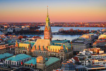 City Hall of Hamburg, Germany - 313693760