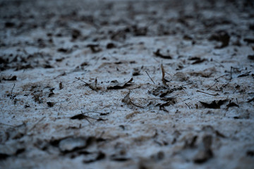 Frozen sand under snow. Textures abstract background