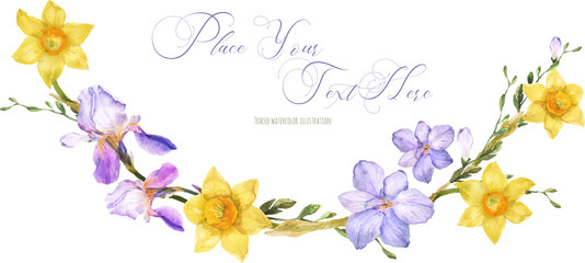 Decorative watercolor arc with spring flowers daffodil and iris and freesia on a white background, traced - obrazy, fototapety, plakaty