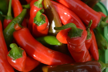 rote Chillis
