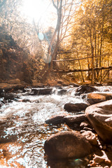 Autumn Canyon River