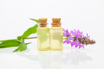 marsh woundwort essential oil in  beautiful bottle on White background