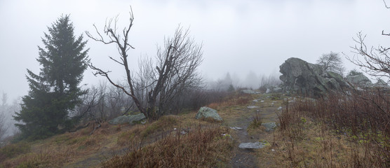 Auf dem Gipfelplateau des Großen Feldbergs im Taunus, Hessen, Deutschland