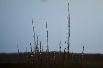 Icicles Upside down Against the Sky