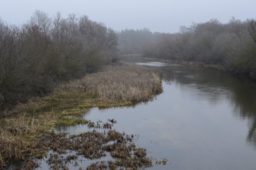 Cloudy day in early winter, river without ice. Beginning of winter