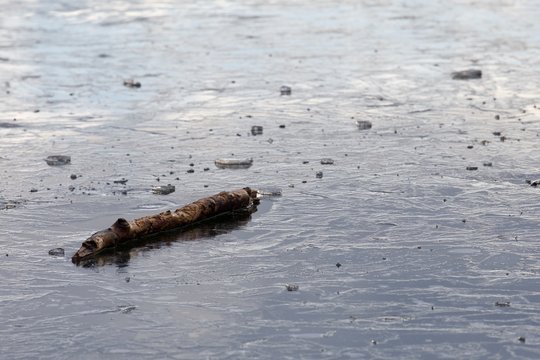 Isarwelle Bilder Durchsuchen 284 Archivfotos, und