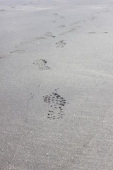 Footprint boot in the sand on the beach 