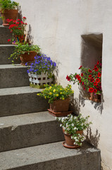 Fototapeta na wymiar Plant pots with colourful flower on a residential property steps in Gruyères, Switzerland