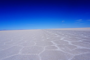 Fototapeta na wymiar Salar de Uyuni Salt Flat Bolivia