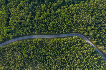 The time of year is summer. Road through a country of pine forests and lakes aerial view