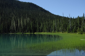 lake in the mountains with forest