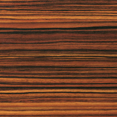 Wood texture background. Close up plywood surface with natural pattern