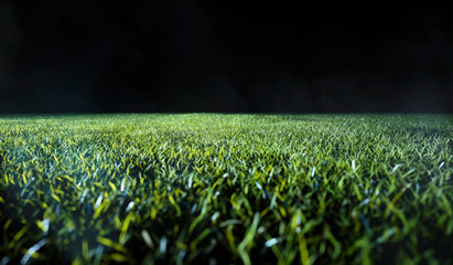 Low angle view across a lawn or sports field