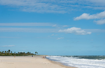 Fototapeta na wymiar Atlantic ocean beach in Vero Beach, Florida