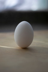 a single egg on a table