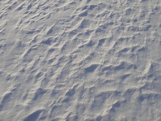 Wave texture of the snow surface formed by the action of the wind.