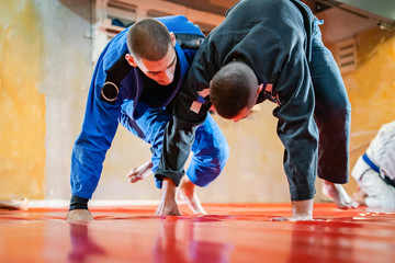 Two brazilian jiu jitsu BJJ athletes training practicing position drilling the technique from the guard sparring wearing blue and black kimono holding collar grip sweep