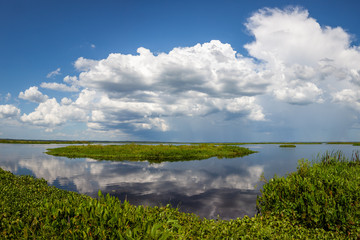 White puffy clouds reflected in the water over Paynes Prairie Florida