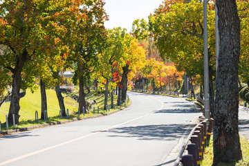 Obraz premium 吹田市の秋