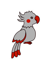 Süßer kleiner Nymphensittich 