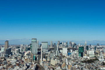 Fototapeta premium 東京パノラマビュー