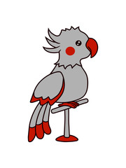 Nymphensittich auf Stange 